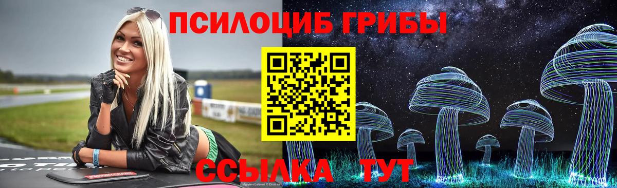 Богданович  Псилоцибиновые грибы прущие грибы  Вход с VPN 